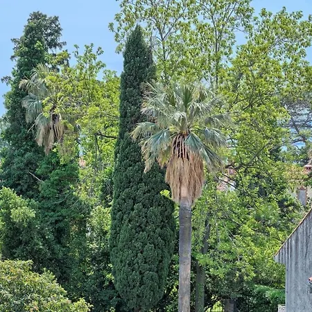 Appartement In Kastel Luksic With Balcony, Air Conditioning, W-lan, Washing Machine 5107-4 *